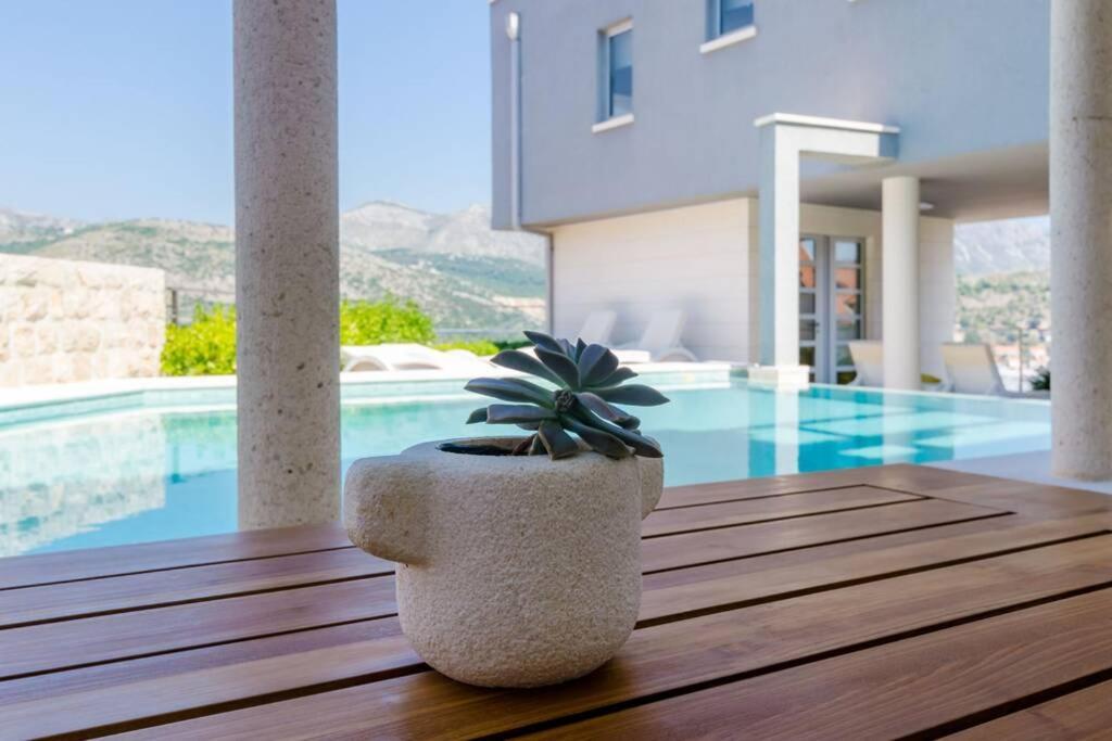 Modern With Swimming Pool - Penthouse *